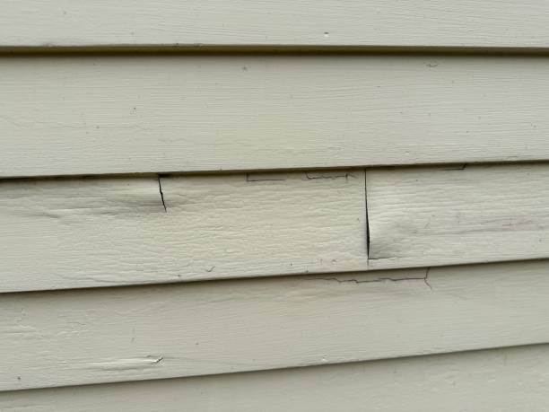 Best Insulated Siding Installation  in Tusculum, TN